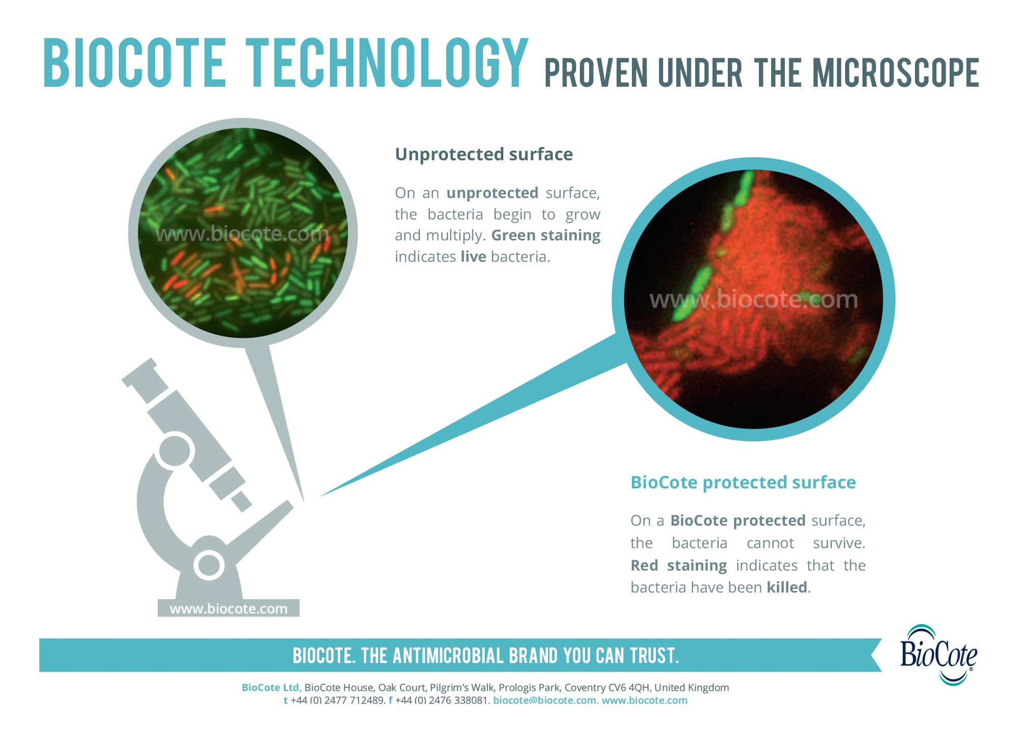 An infographic providing information on bacteria growth on unprotected surfaces vs BioCote protected surfaces.